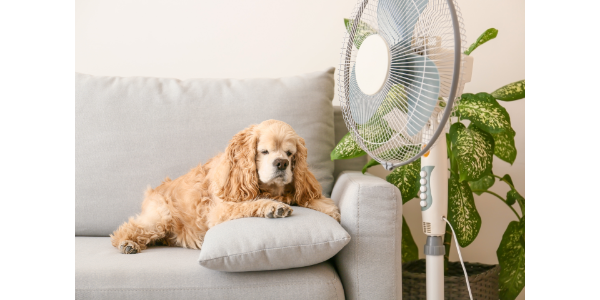 3 Most Important Things To Consider When Choosing an Air Conditioner for Your Apartment?