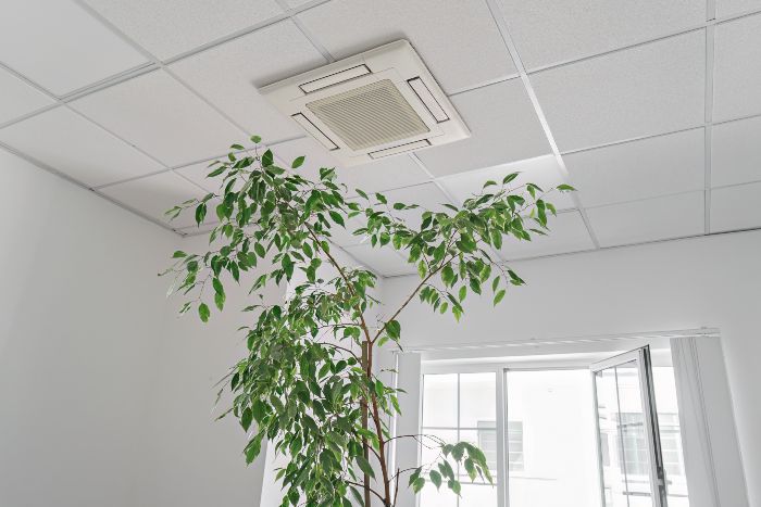 Breathing Easy: How Upgraded HVAC Systems Keep Allergies At Bay And Elevate Indoor Air Quality