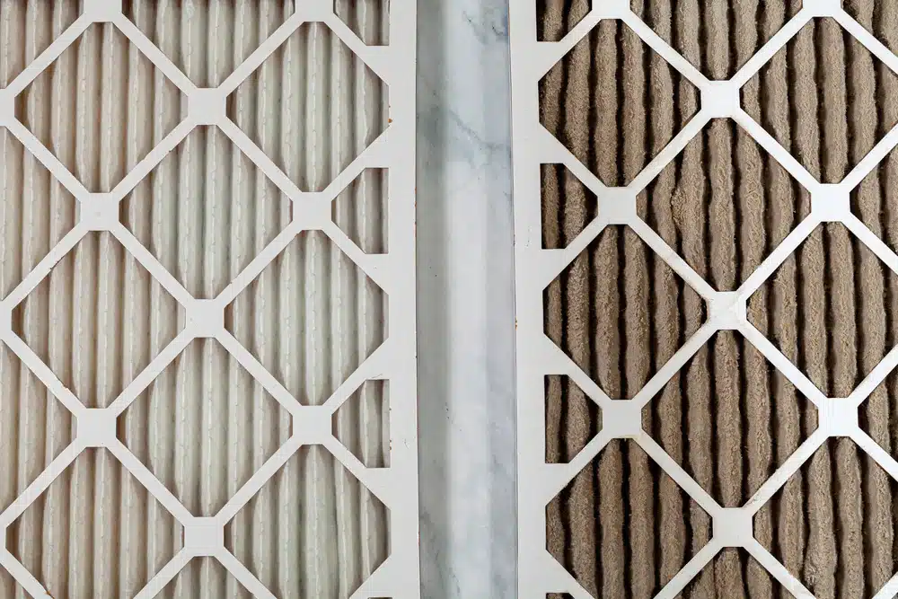 The Ultimate Guide To Air Filters For Allergies: Your Essential Handbook