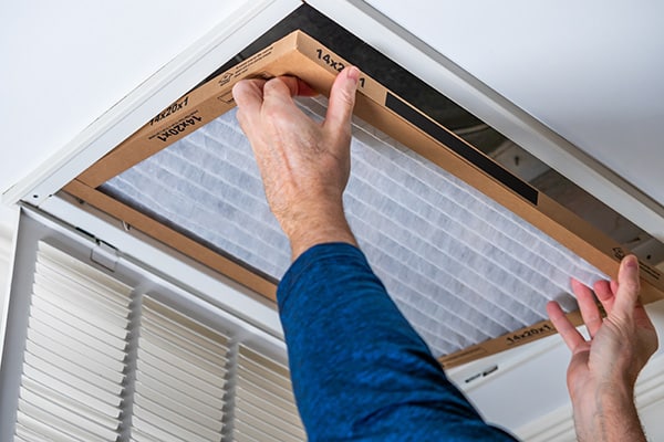 The Ultimate Guide To Air Filters For Allergies: Your Essential Handbook